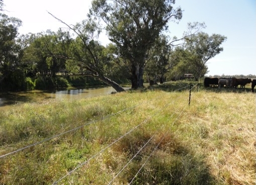 Funding for Namoi River