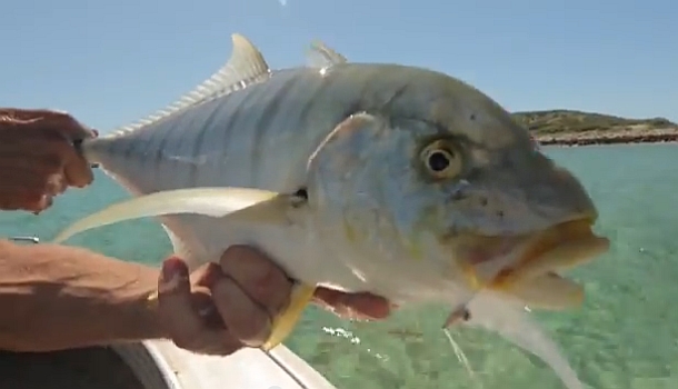 VIDEO: Fly fishing the Dampier Archipelago