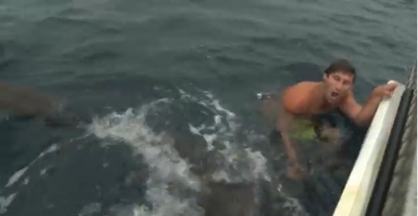 VIDEO: Shark tries to eat Mad Huey