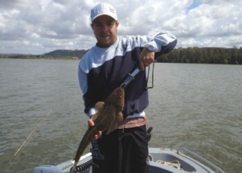 Image: Mick Fletoridis