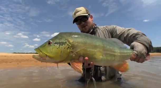 Image: Mick Fletoridis