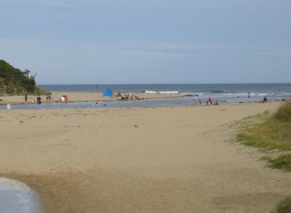 VR Fish raises river health concerns