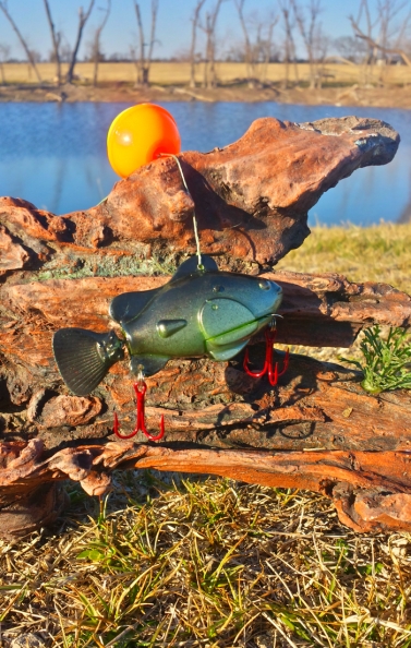 Victoria's Hopkins River provides some good sport fishing options for loclas in the know. Image: Tim Vincent