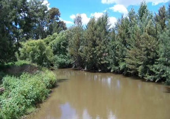 Fisho's Scott Thomas filming Bushy talking about Squidgy's new prawn lures.