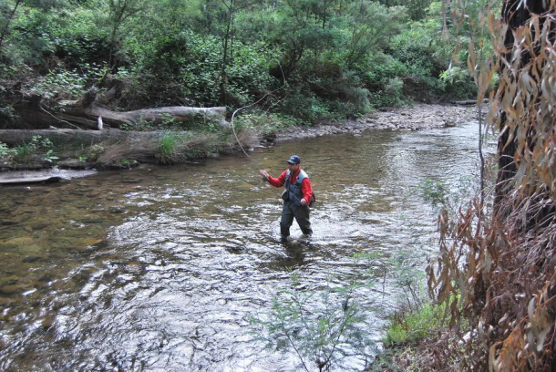 The Queens Birthday long weekend provides anglers with their last chance this season to catch trout in Victorian rivers.