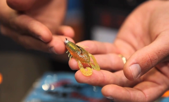 Image: Shane Chalker