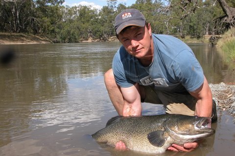 Season ends for Murray cod & crayfish - Fishing World Australia