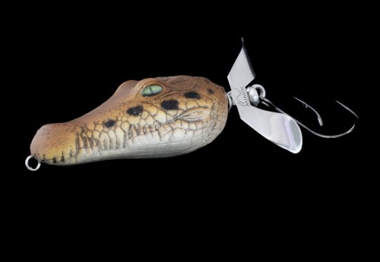 Fish with Crox and Dragons