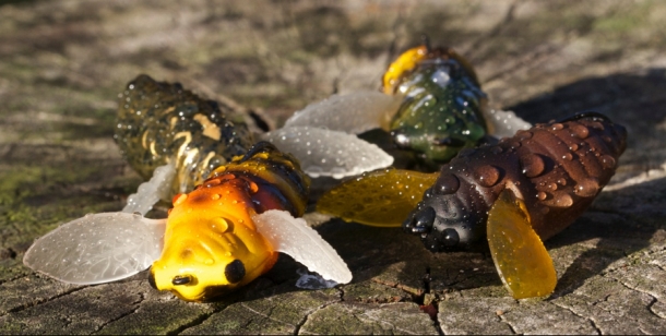 Tested: Fish Arrow Baby Cover Cicada