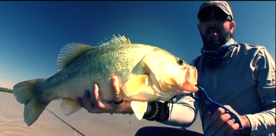VIDEO: Geobass Botswana
