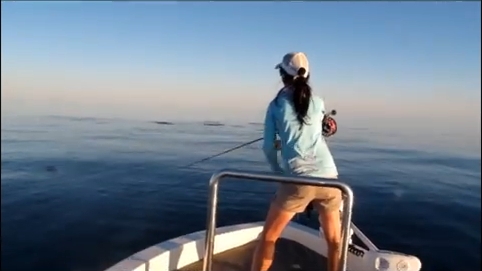 Video: Fly fishing for tuna