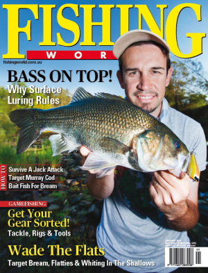 Over 20,000 trout cod were recently released into the Macquarie River at three locations downstream of Bathurst.