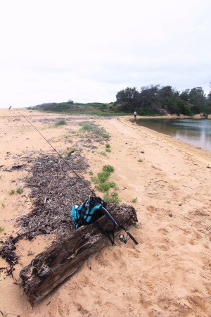 Over 20,000 trout cod were recently released into the Macquarie River at three locations downstream of Bathurst.