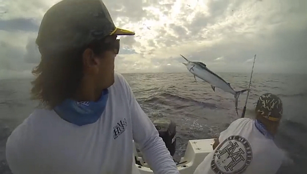 Video: Marlin Madness
