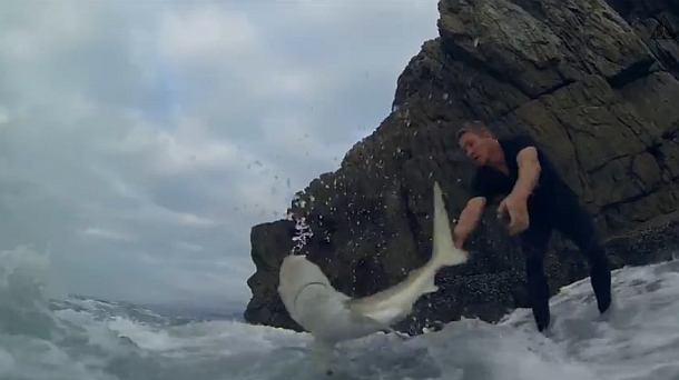 Video: The Shark!
