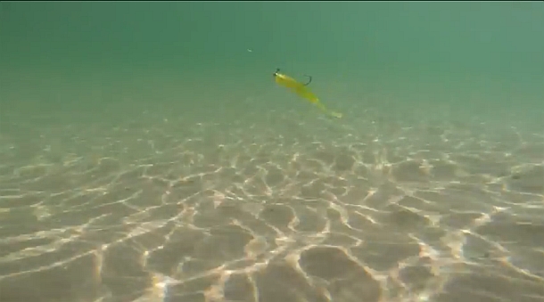 Video: Berkley Powerbait Twitchtail Minnow