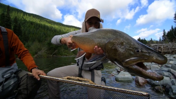 Chris Cleaver with his recently caught and released hybrid cod he likes to call a Murrout (cross between a Murray and trout cod).