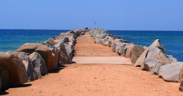 Chris Cleaver with his recently caught and released hybrid cod he likes to call a Murrout (cross between a Murray and trout cod).