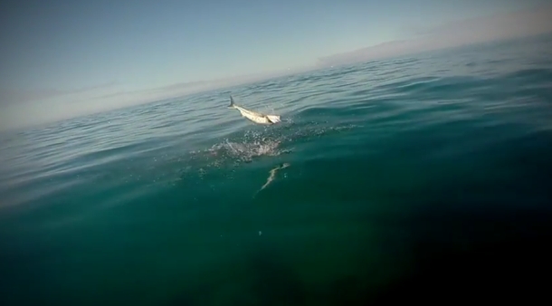 2013 DIMSC Overall winner Michael Bonnici with another nice Coffs red.