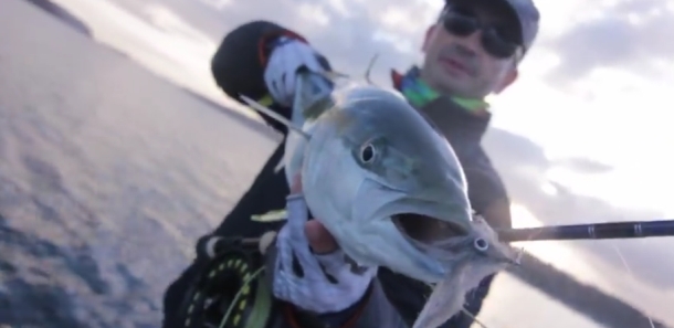 Video: One week in Winter 2015 – Sydney Fly Fishing Tours
