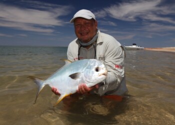 FISH FACTS: Australian permit (Trachinotus blochii)