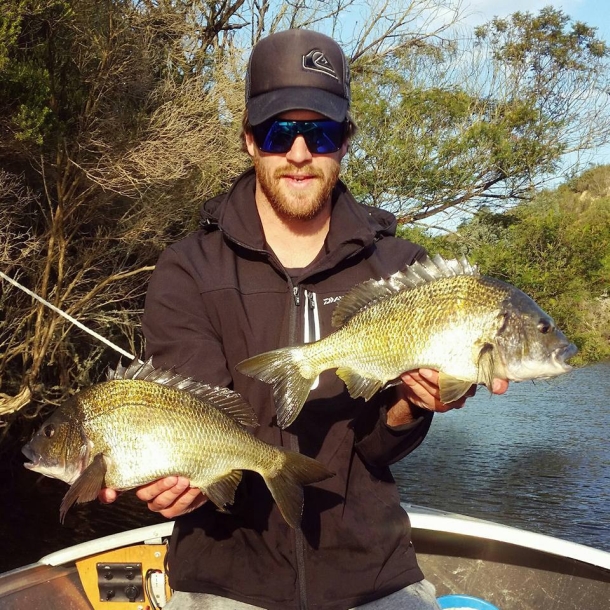 Big Gippsland bream