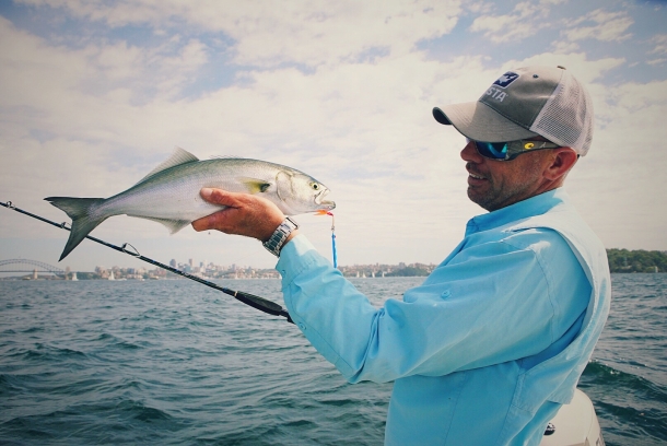 Dive groups push for Sydney marine park