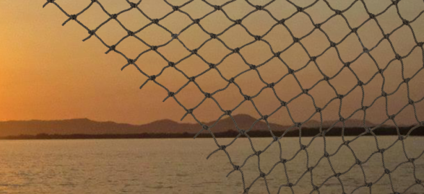 NT supports QLD fishos in push for net-free areas