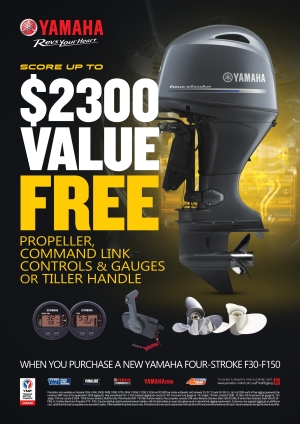 Yamaha offers free rigging