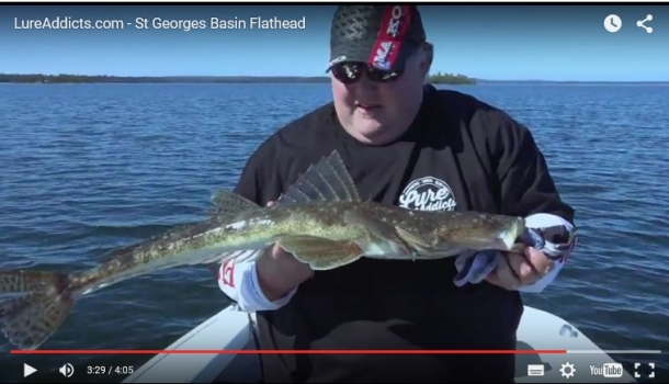 Big St Georges Basin flattie (video)