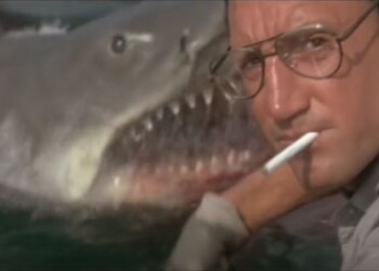 OPINION: Newspaper “Beef Berley” report wrong to blame fishos for shark attacks