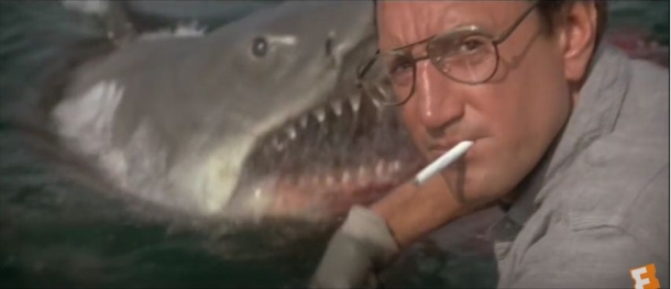 OPINION: Newspaper “Beef Berley” report wrong to blame fishos for shark attacks