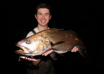 Mulloway – creatures of habit