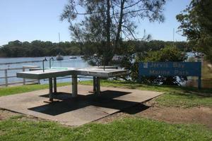 South coast flathead deformities investigated