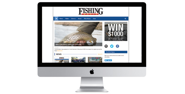 Fisho’s fresh new website!