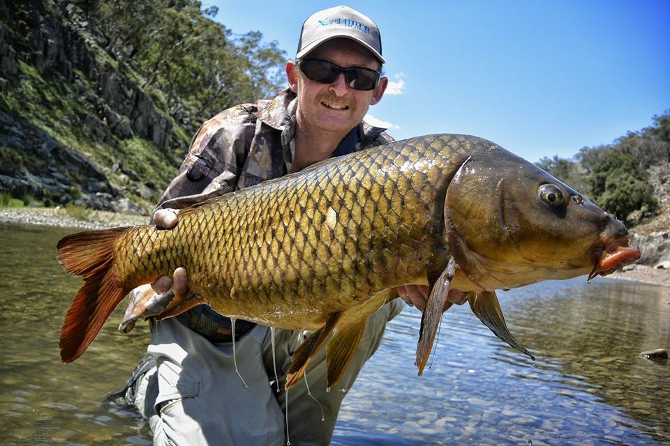 Sofala Carp Blitz