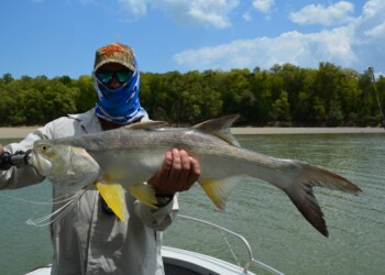 Fishing report: the Darwin Build-up