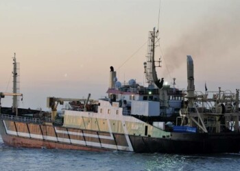 Supertrawler negotiations kick off in Canberra