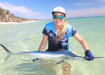 Report: November sees another great run of juvenile black marlin