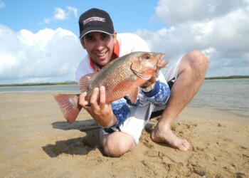 Go light to get the bite!