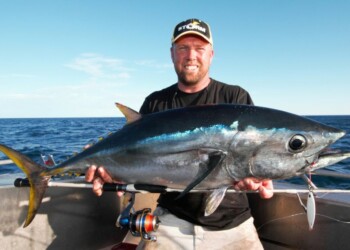 Light tackle micro-jigging for snapper, tuna and kingfish
