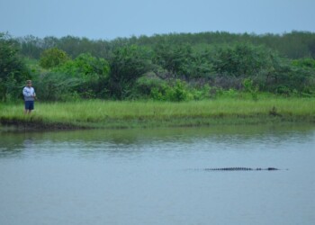 A promising start for the runoff