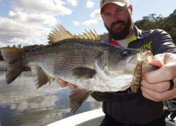 REVIEW: Samaki Vibelicious