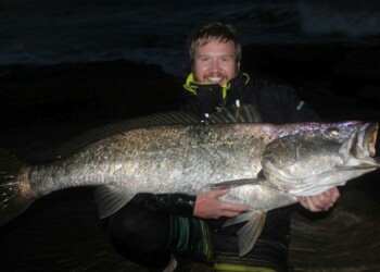 A year in the life of a one-eyed jewfish