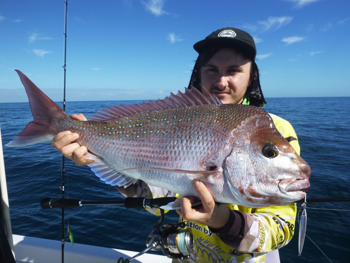 REPORT: July sees plenty of snapper in the bay - Fishing World Australia