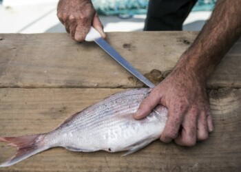 Win a Victory filleting knife!