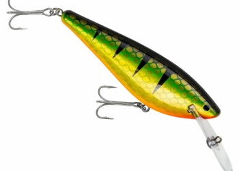 Bagley Lures introduce the Monster Shad