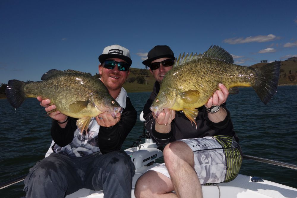 Murray Cod Basics – Tackle Tactics