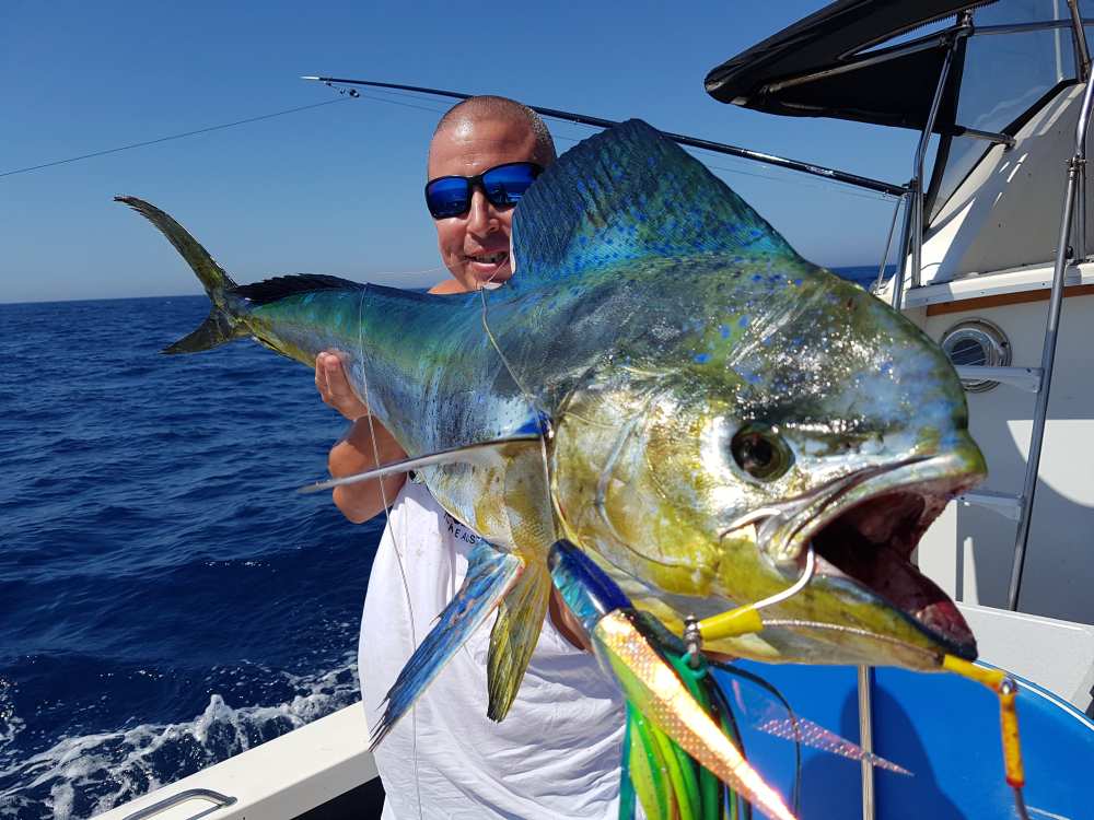 inline_442_https://yaffa-cdn.s3.amazonaws.com/yaffadsp/images/dmImage/SourceImage/FW_miracle_lures_mahi.jpg