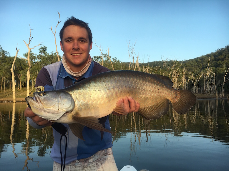 Borumba Tag-A-Toga competition doing its bit for saratoga research - Fishing  World Australia